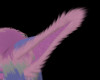 Sammy Ears/SP
