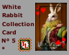 white rabbit card nº 5