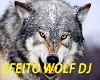 Wolf Effect Dj