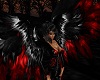 *PJ's* red/black wings