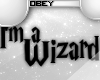| Wizard