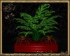 [ANA] PLANT BAC  RED