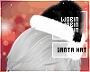 ₩ Xmas Hat  Black