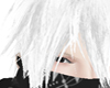 White Vep