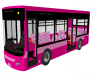 Bus pink