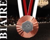 B1l VU-Tech Bronze Medal