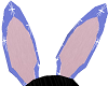 NorEaster Bunny Ears