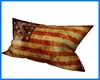 USA Throw Pillow