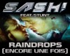 Sash -Raindrops