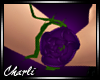 {CS}R Purple Rose