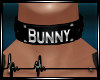 + Bunny Collar