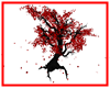 Red Passion Tree