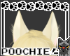 [P!] Felicity Ears