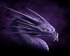 purple dragon photoshoot