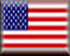 USA Flag