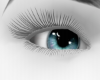 Blue Night Eyes