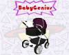 Vashti Luxe Stroller