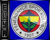 Fenerbahce effects