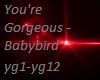 Youre Gorgeous  Babybird