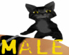 [I] Grey Sholder Cat  M