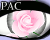 *PAC* Heart of Roses Pin