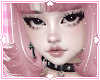 ❀. zahori | sakura
