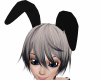 Uzaki Bunny Ears