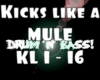 Kicks Like a Mule - RMX1