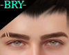 -BRY- Eyebrows #1