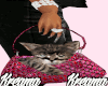 {P2} Cat + Bag👜