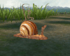 Snail Ride