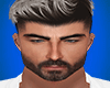 Realistic Head
