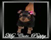 Terrier Puppy Carrier