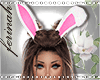 Pink Bunny Ears