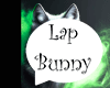 D. HS Lap Bunny