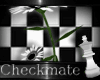 L-Checkmate-Wh-Daisy