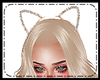 (OM)Gold Cat Ears