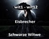 Schwarze Witwe
