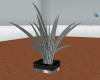 JS: Silver Potted Palm