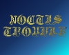 Noctis Trouble