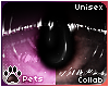 [Pets] Ailva | 2-tone v2