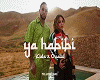 💕  YA HABIBI