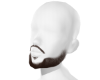 brw beard v4