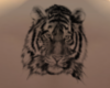 Back Tiger Head Tattoo