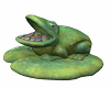 Frog Lilypad  2