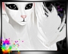 C; WKitteh Stewart