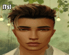 [Ts]Hero brunette hair