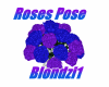 Poses Rose B2