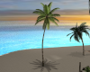 -1m- Palm tree anim.