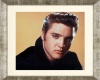 Rock Legends ~Elvis~